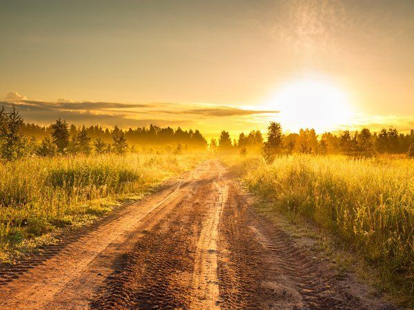 El sol se está poniendo sobre un camino de tierra en medio de un campo.