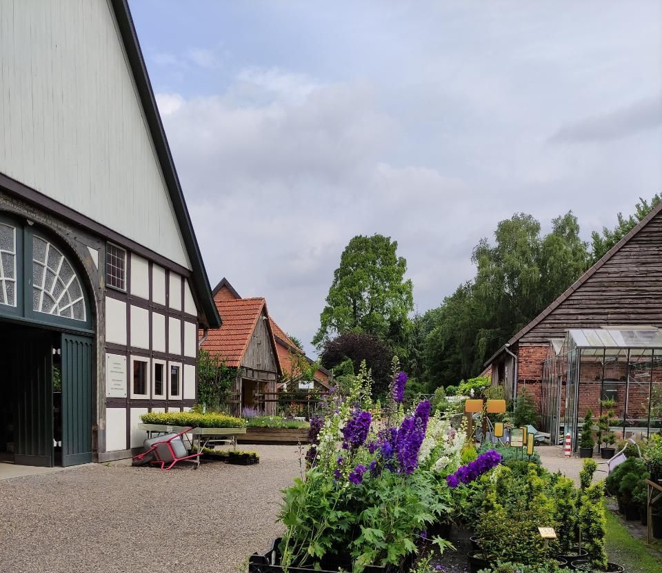 Foto von Pflanzen auf dem Hof