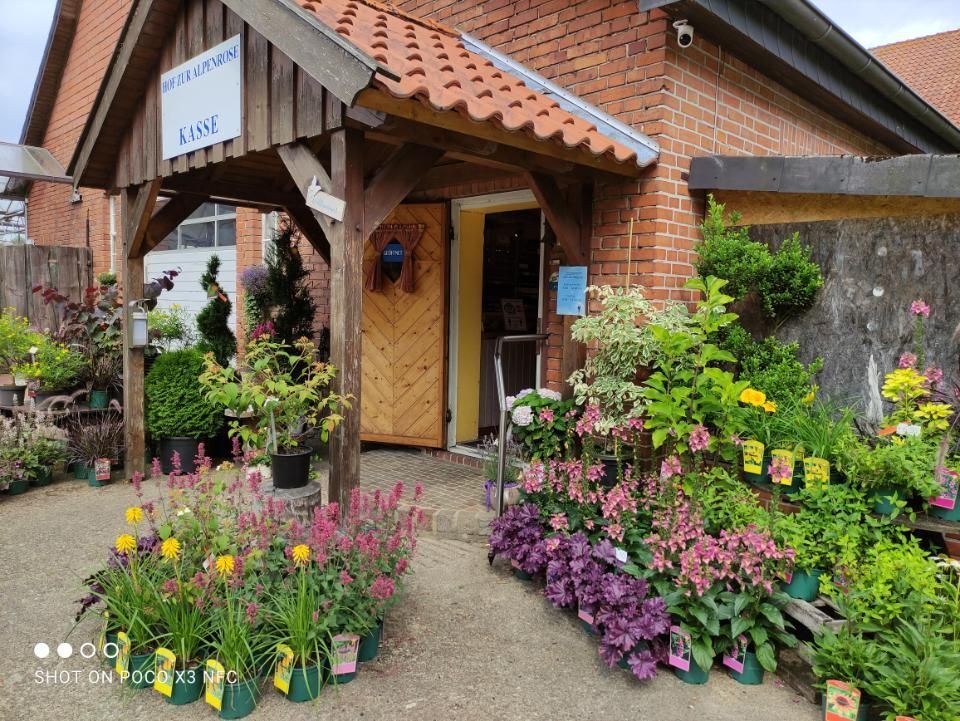 Foto von Blumen auf dem Hof