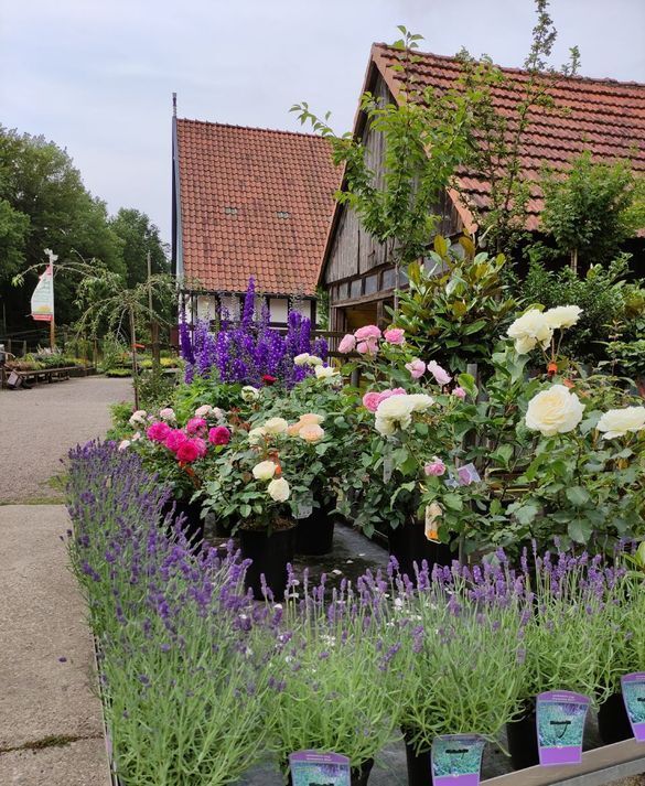 Foto von Blumen auf dem Hof