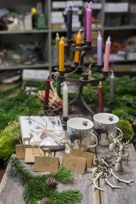 Kikan Kukka ja lahja