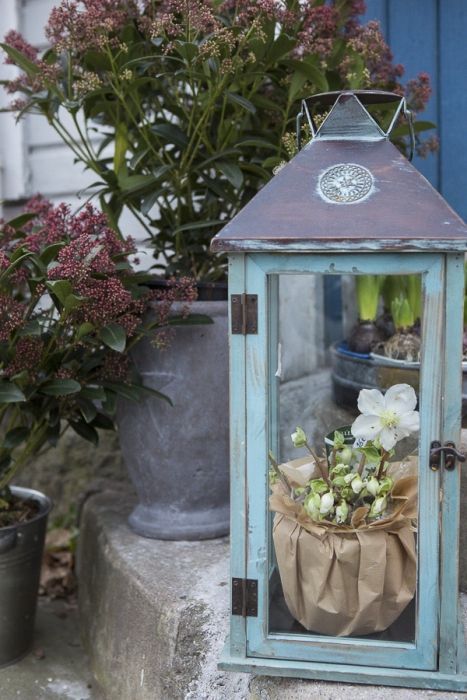 Kikan Kukka ja lahja