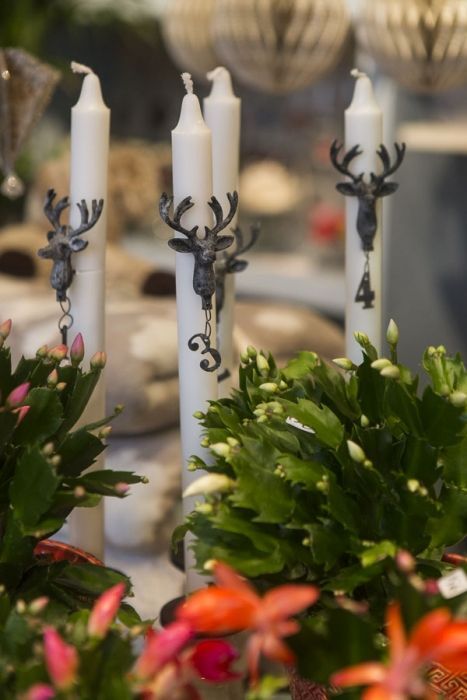 Kikan Kukka ja lahja