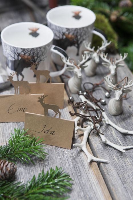 Kikan Kukka ja lahja