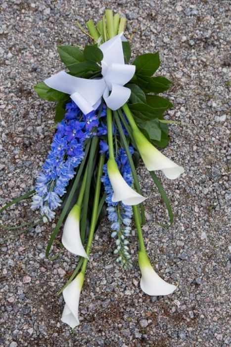 Kikan Kukka ja lahja