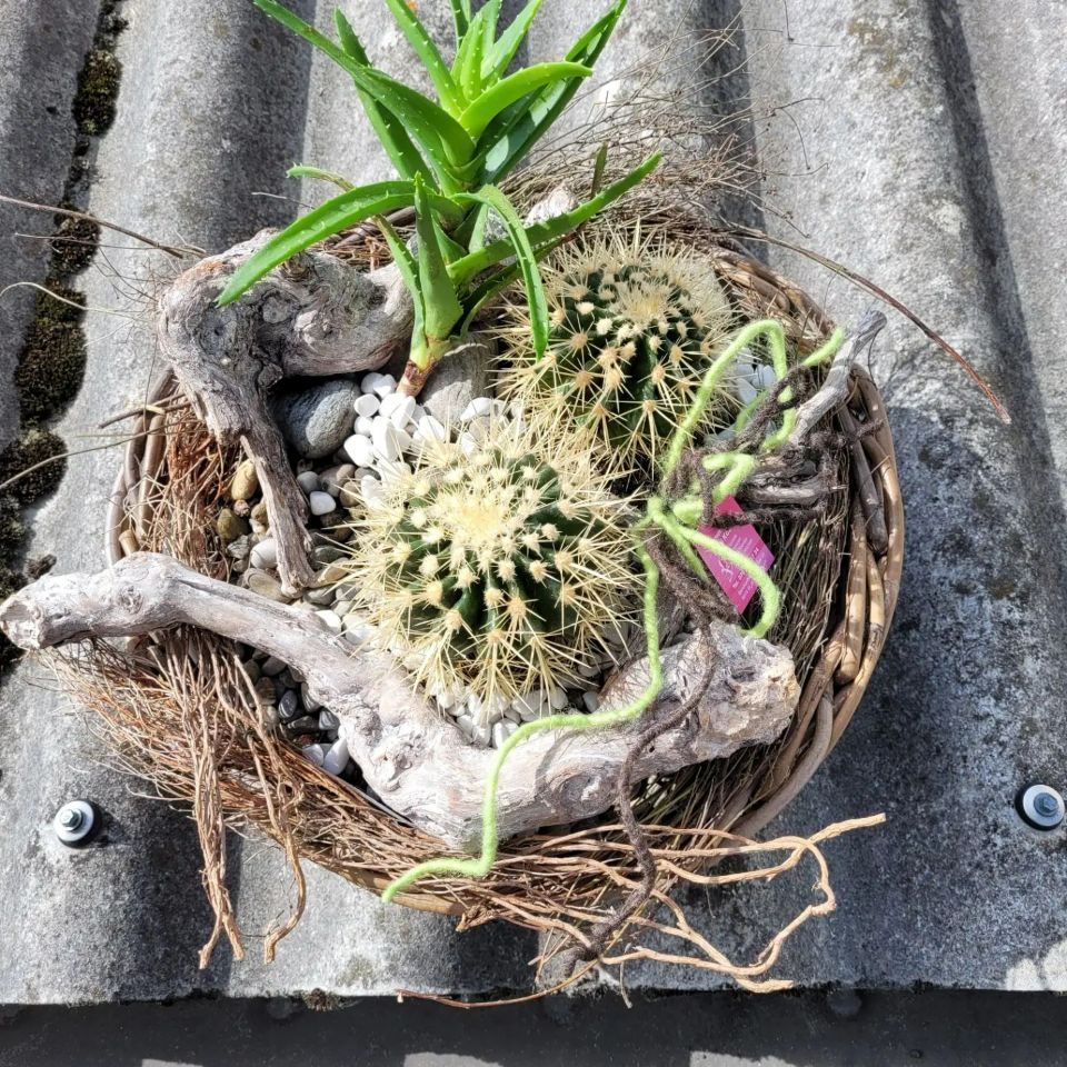 Blumen Atelier, Moni Koster