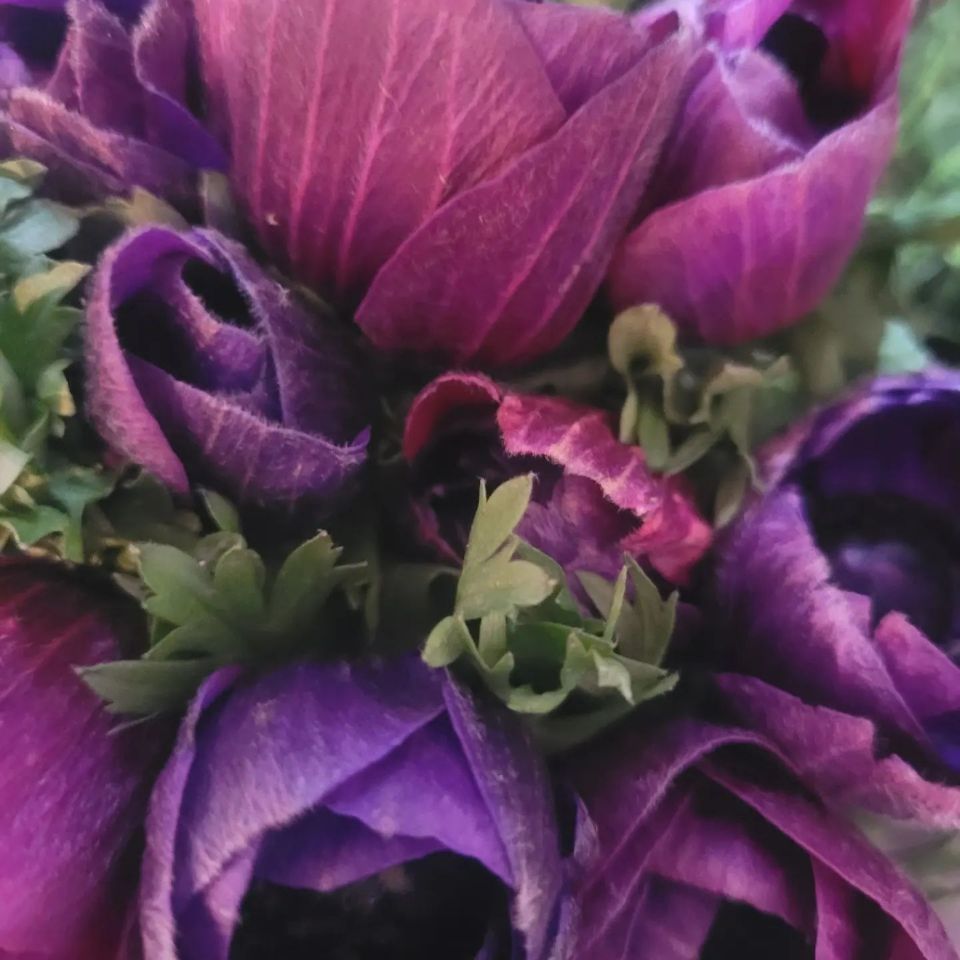 Blumen Atelier, Moni Koster