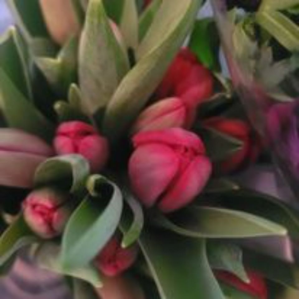 Blumen Atelier, Moni Koster