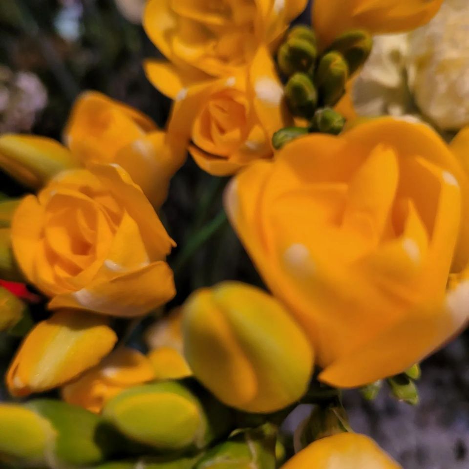 Blumen Atelier, Moni Koster