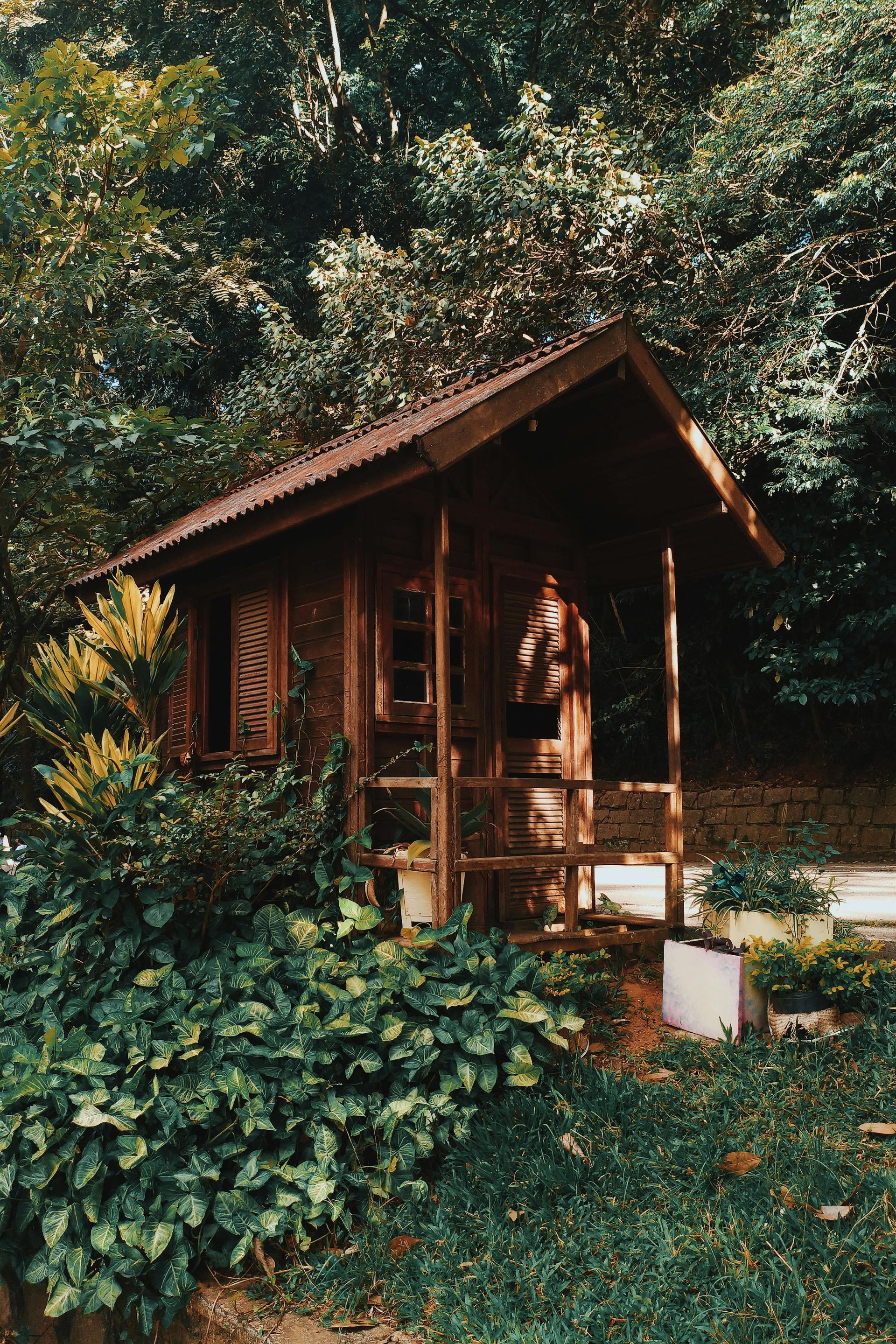 Wooden cabin nestled in lush greenery, with a porch. Brown tones dominate the scene.