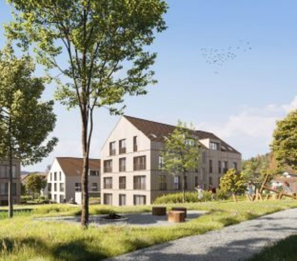 Vollenweider Bau AG Merenschwand, Obstgarten
5627 Besenbüren