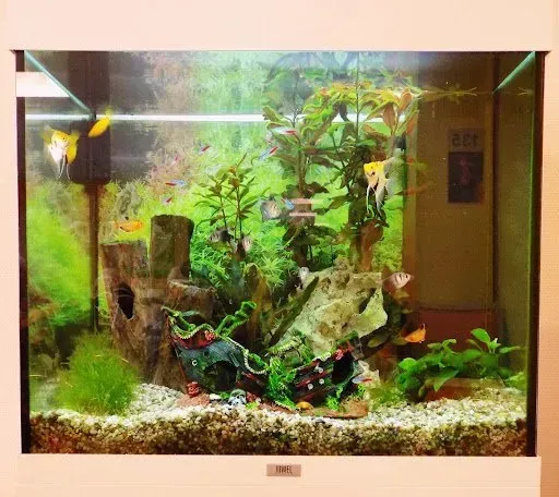 GSF Ganzheitliche Seniorenpflege Fichtelgebirge