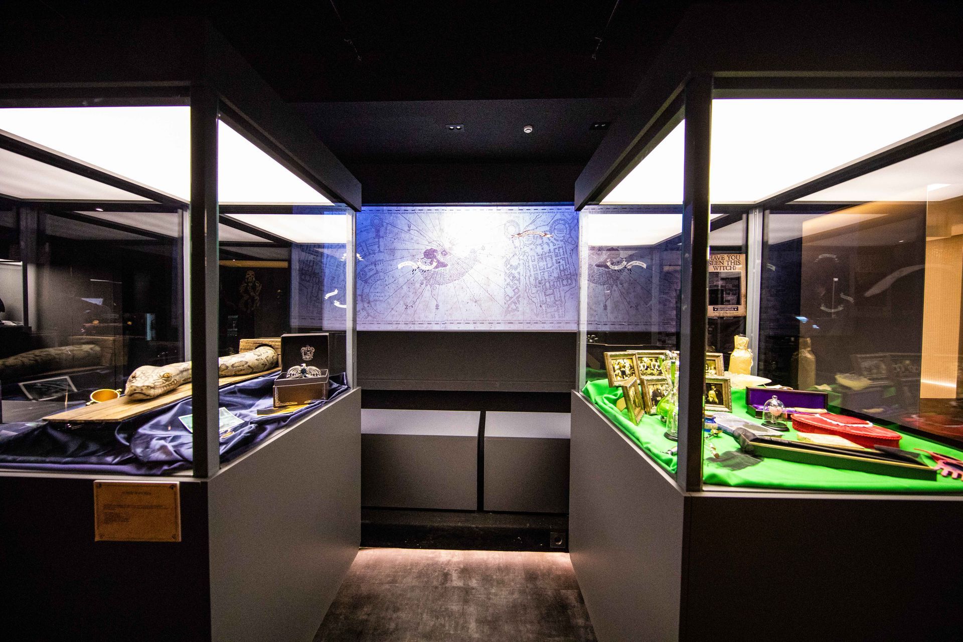 Una habitación con muchas vitrinas llenas de diversos artículos.