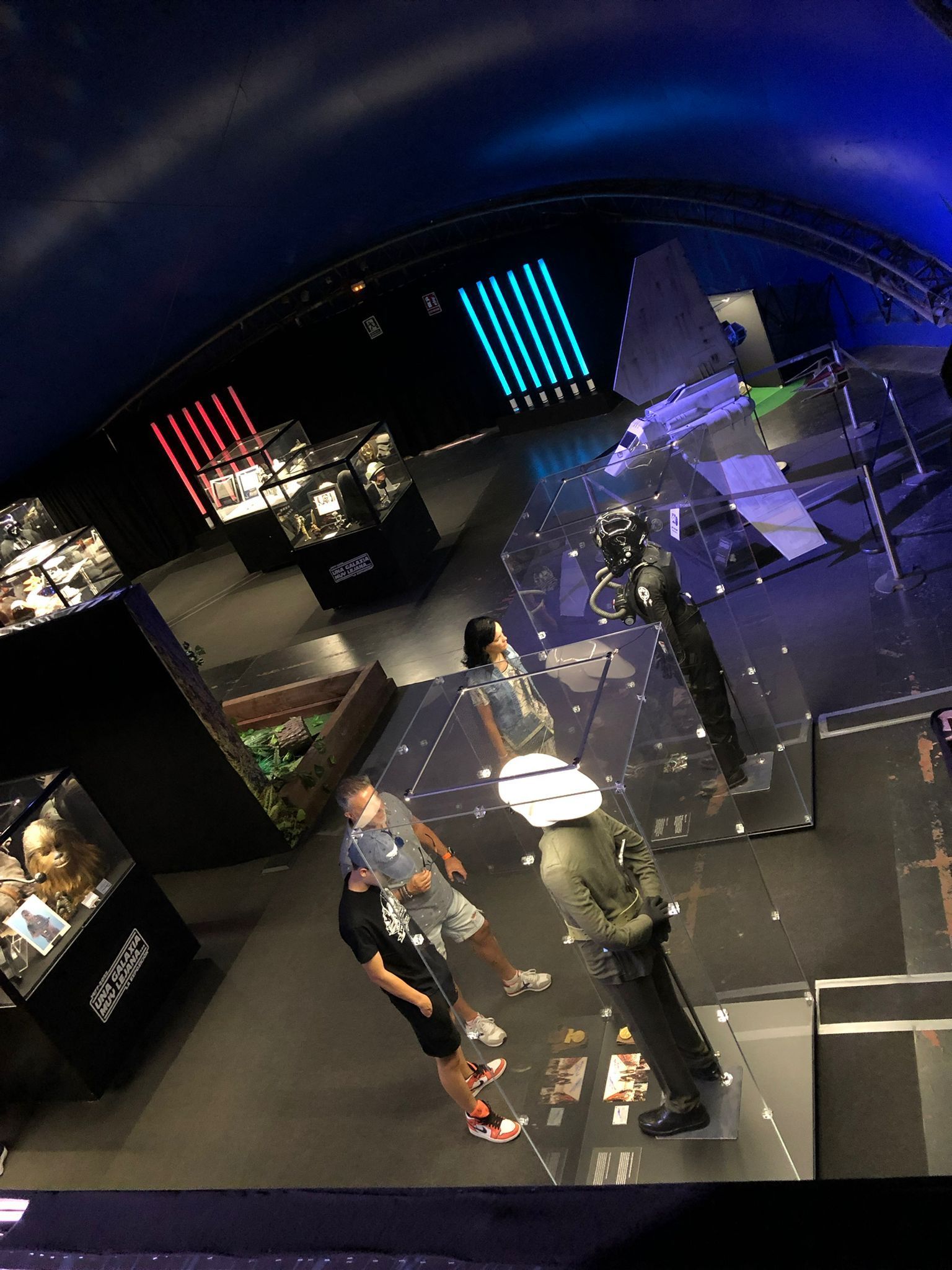 Un grupo de personas se encuentra en un museo mirando una exhibición.