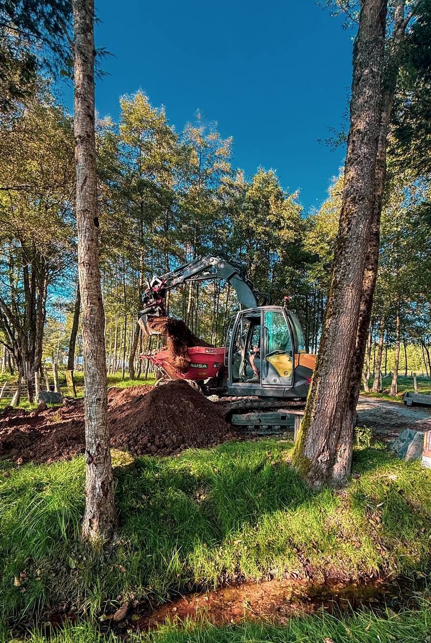 Une pelleteuse rouge travaille parmi les arbres dans une zone boisée ensoleillée