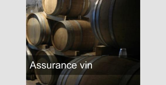 Assurance vin