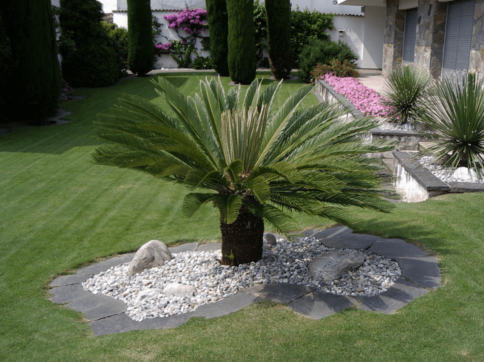  Gartenbau Gartenpflege Detailhandel