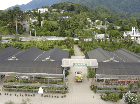  Vivaio e centro vendita Schober Giardini - Ascona