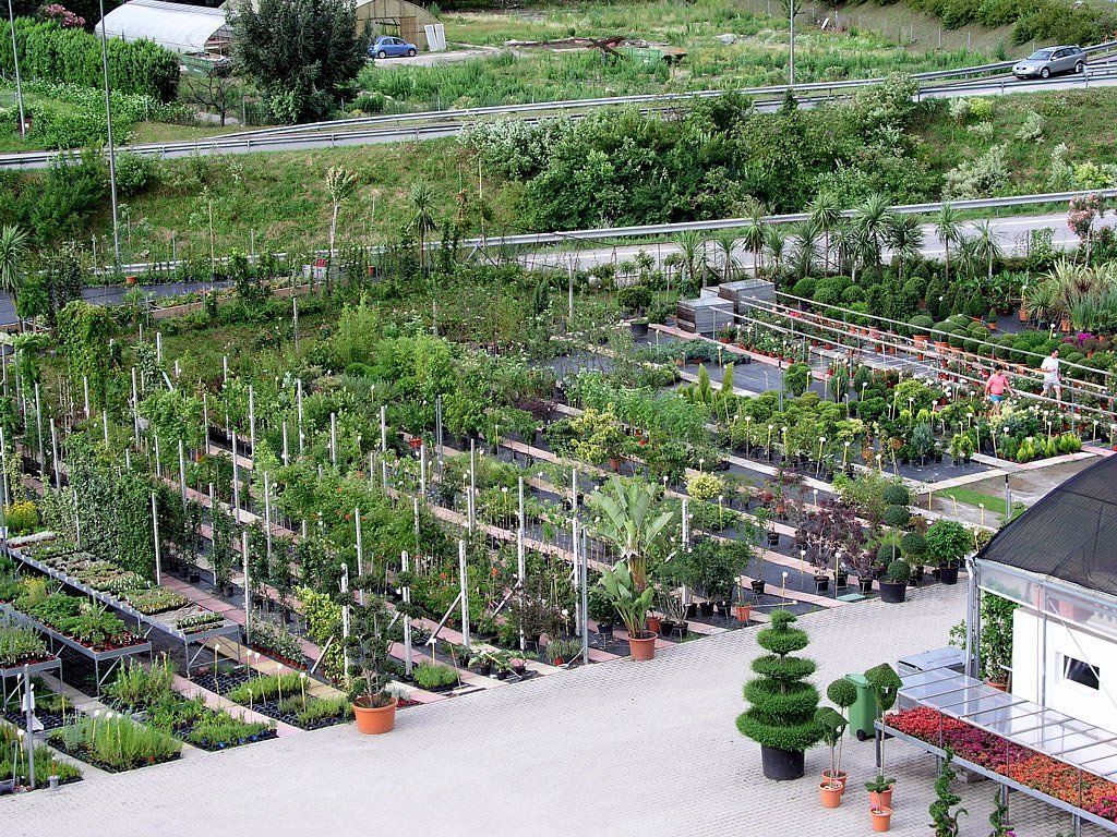 Schober Giardini - vivaio e centro vendita - Locarno - Ascona