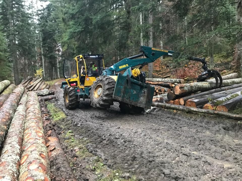 Un tracteur transporte des bûches sur un chemin de terre dans les bois.