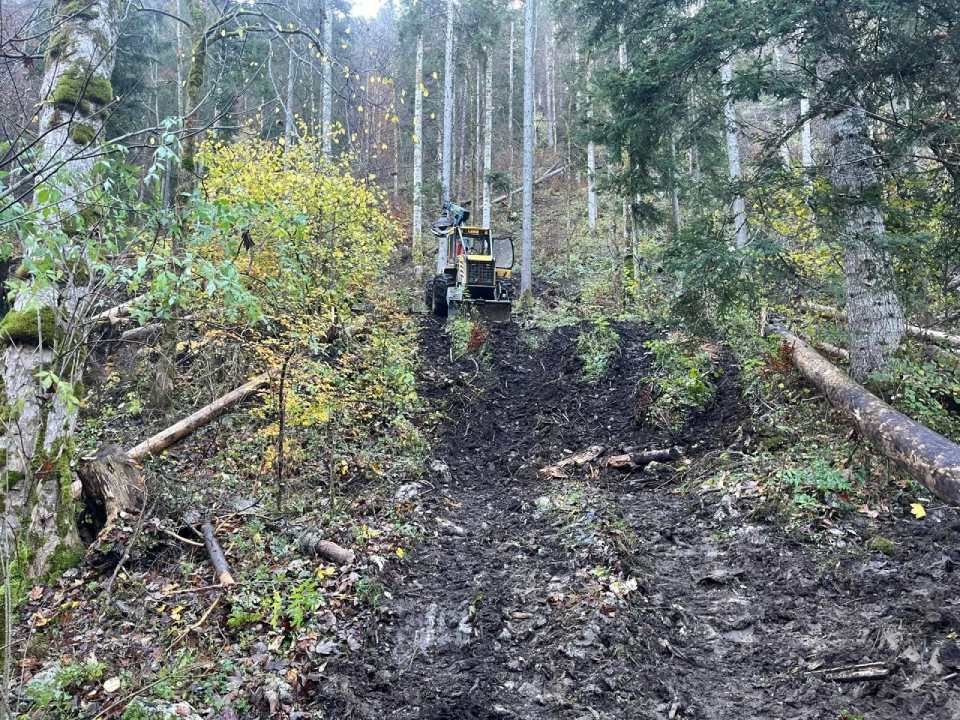 Un tracteur roule sur un chemin de terre dans les bois.