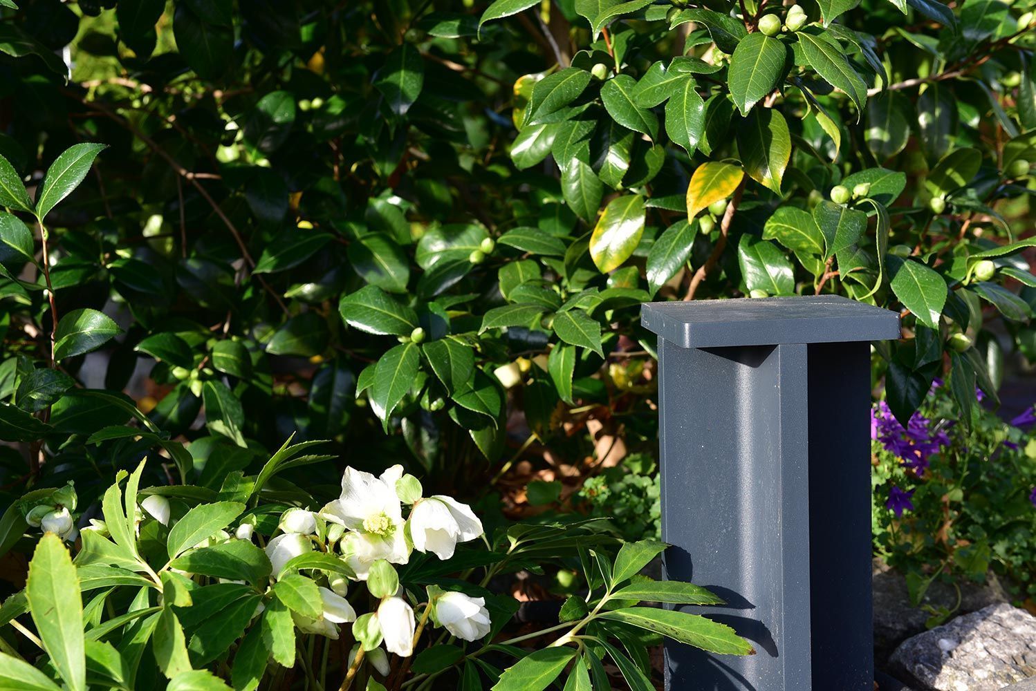 Harders Lichtideen - Referenzen