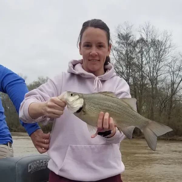 Melissa Hammersmith, Regional Property Operations Manager at Freedom Vacation Rentals