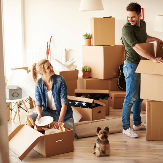 Un hombre y una mujer se mudan a una nueva casa con su perro.