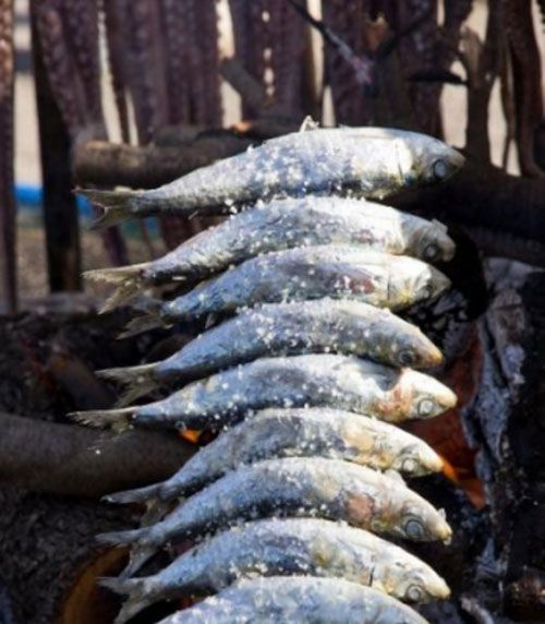 Un montón de peces se están cocinando en una parrilla