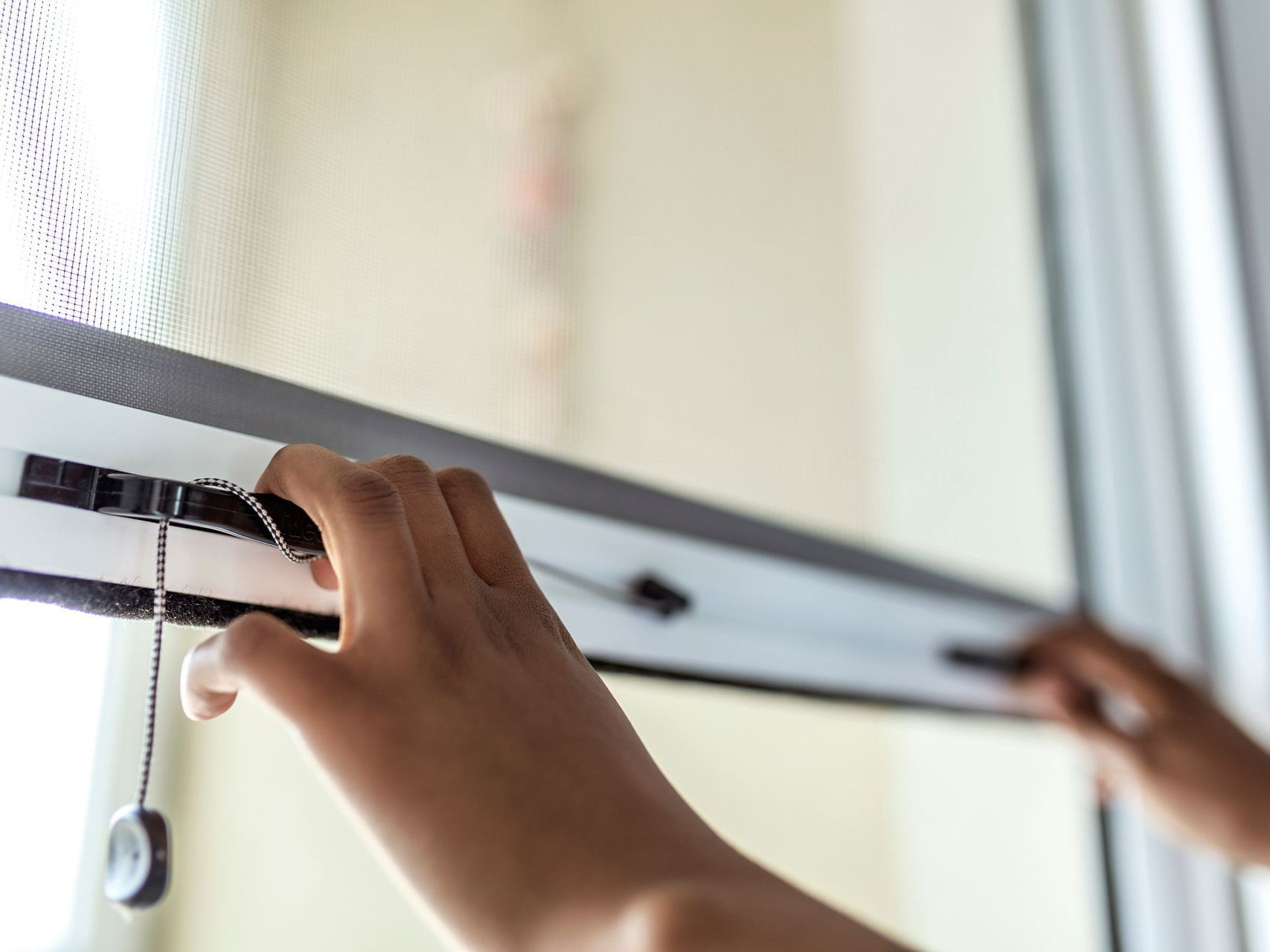 moustiquaire pour menuiseries extérieures