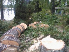 metsapalveluvastamaa