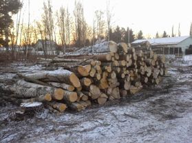 metsapalveluvastamaa