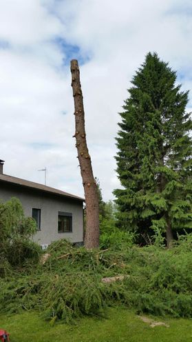 metsapalveluvastamaa