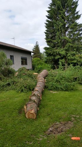 metsapalveluvastamaa