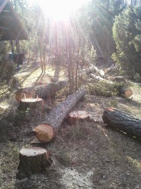 metsapalveluvastamaa