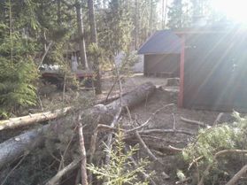 metsapalveluvastamaa