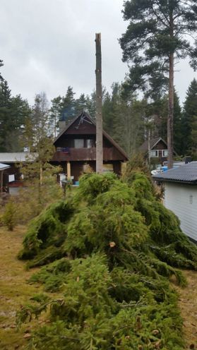 metsapalveluvastamaa