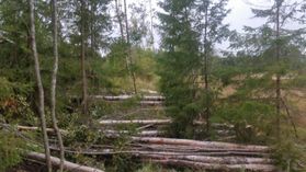 metsapalveluvastamaa