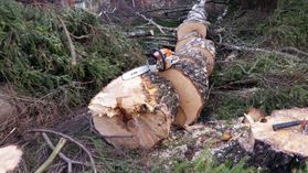 metsapalveluvastamaa