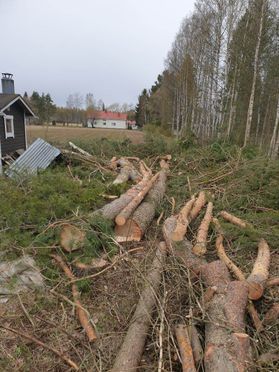 metsapalveluvastamaa