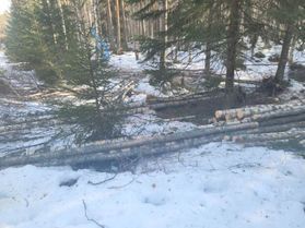 metsapalveluvastamaa