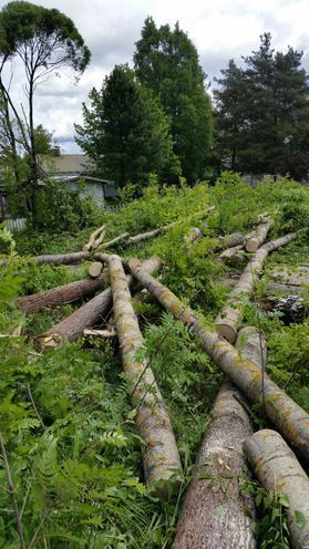 metsapalveluvastamaa