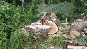 metsapalveluvastamaa