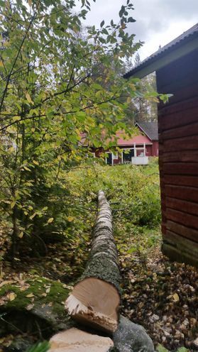 metsapalveluvastamaa