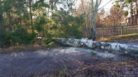 metsapalveluvastamaa