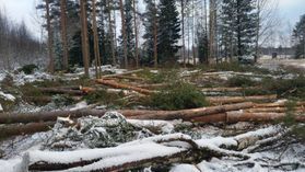 metsapalveluvastamaa