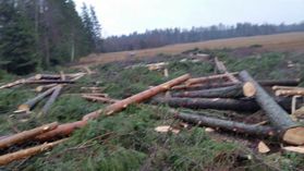 metsapalveluvastamaa