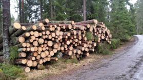 metsapalveluvastamaa