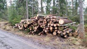 metsapalveluvastamaa