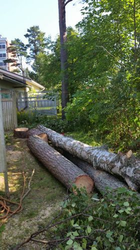 metsapalveluvastamaa